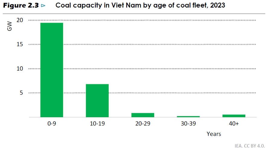 Vietnam Coal Power Fleet